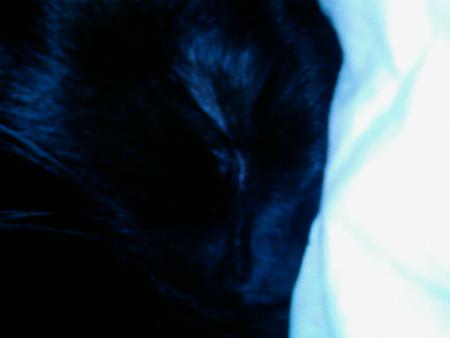 Mon nounou d'amour