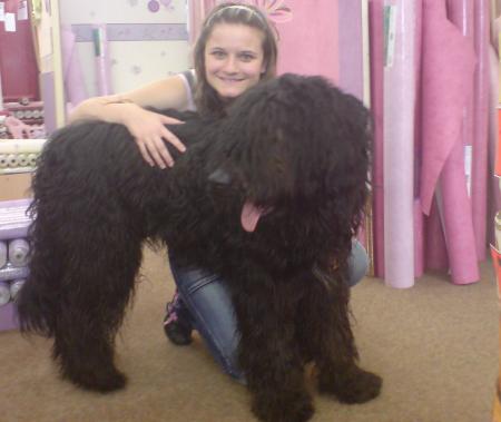 un petit caniche et moi!